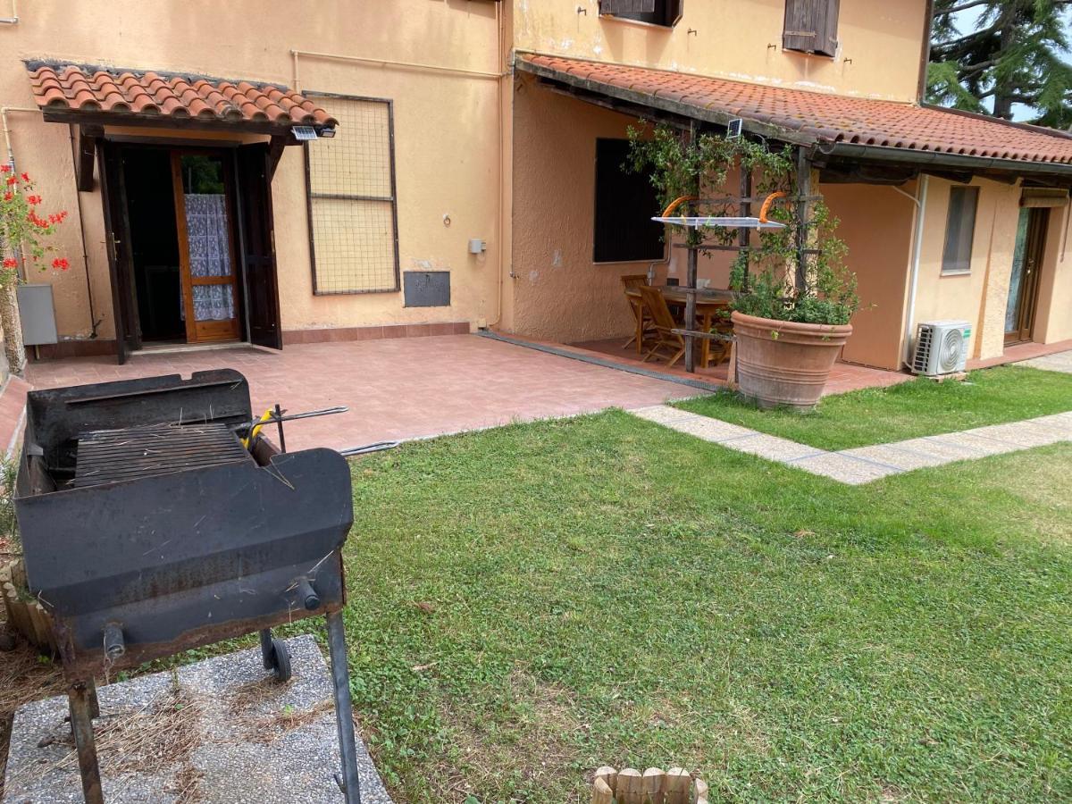Agriturismo Terranera Scansano Exterior foto