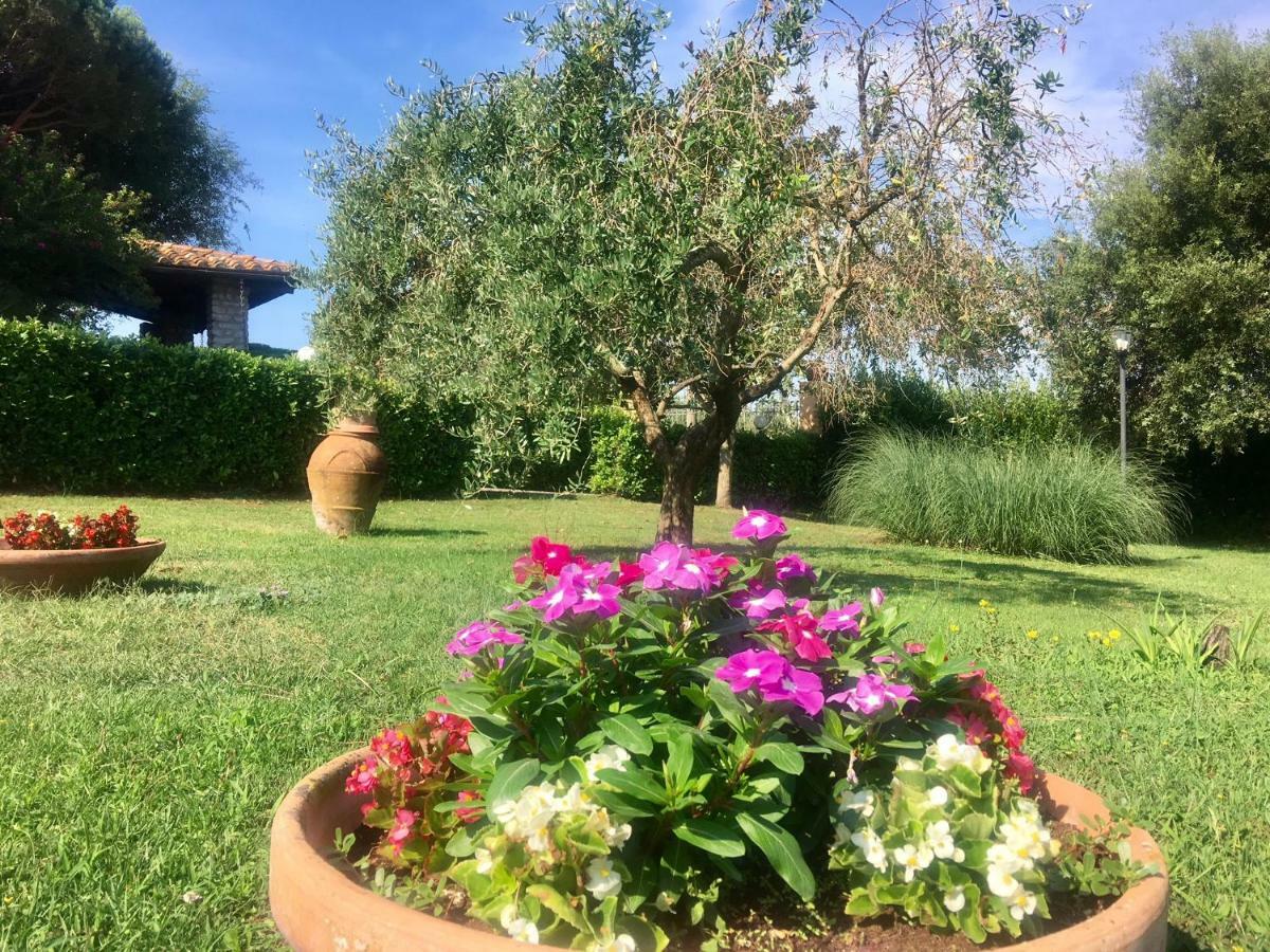 Agriturismo Terranera Scansano Exterior foto